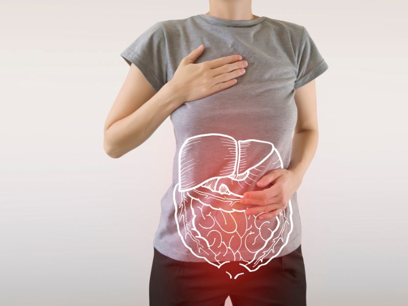 Ilustración del sistema digestivo sobre el abdomen de una mujer