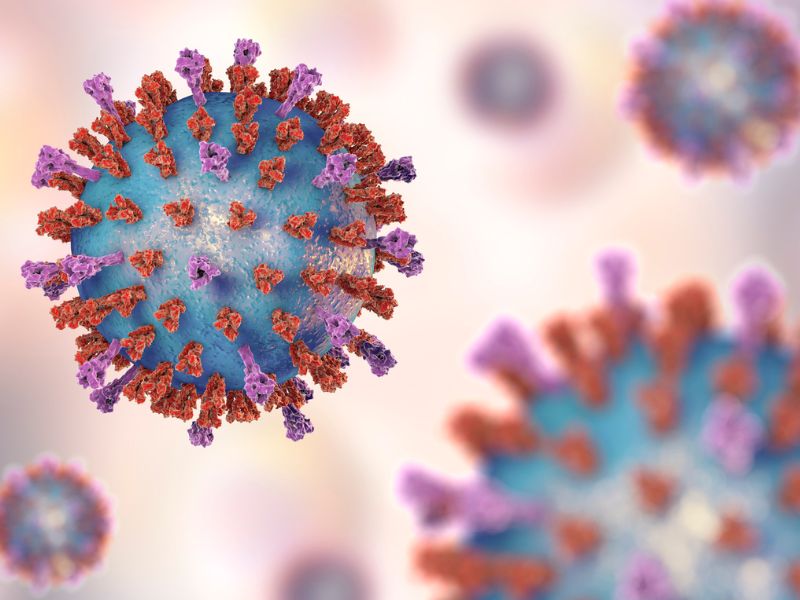 Ilustración 3D de partículas del virus respiratorio sincicial