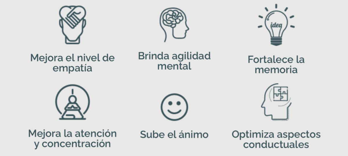 infografía propiedades del Brain Up 10
